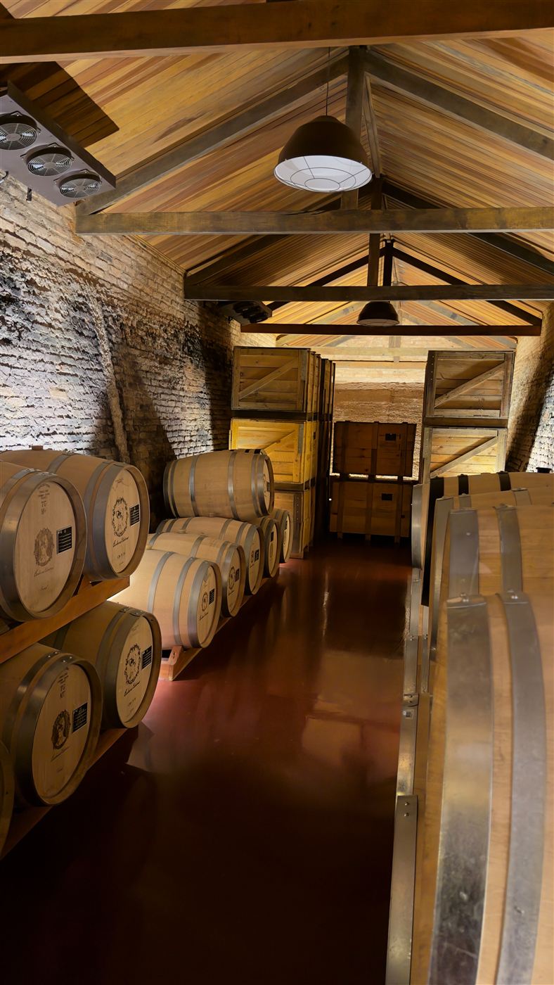 Adega com barris de vinho